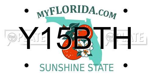 Y15BTH Florida License Plate
