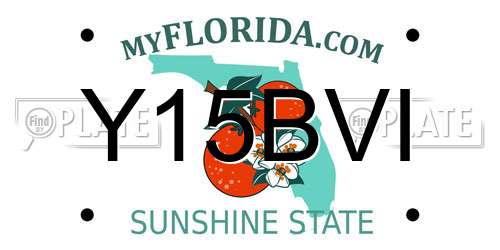 Y15BVI Florida License Plate