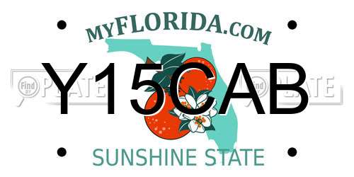 Y15CAB Florida License Plate