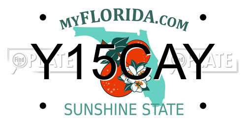 Y15CAY Florida License Plate