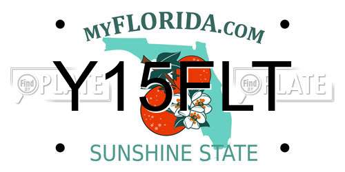 Y15FLT Florida License Plate