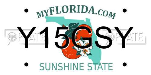Y15GSY Florida License Plate