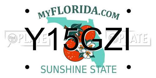 Y15GZI Florida License Plate