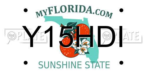 Y15HDI Florida License Plate