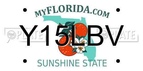 Y15LBV Florida License Plate