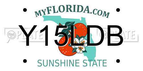Y15LDB Florida License Plate