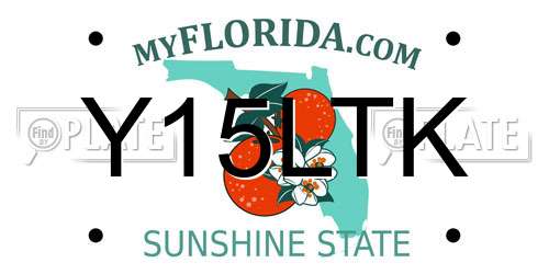 Y15LTK Florida License Plate