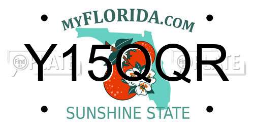 Y15QQR Florida License Plate