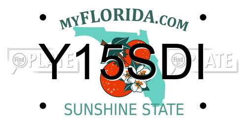Y15SDI Florida License Plate