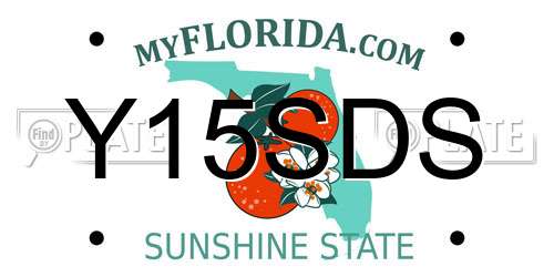 Y15SDS Florida License Plate