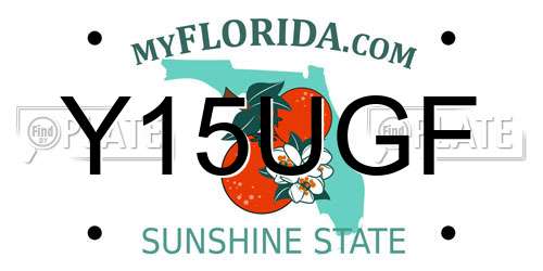 Y15UGF Florida License Plate
