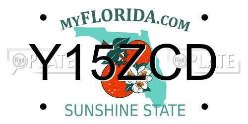 Y15ZCD Florida License Plate