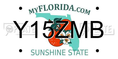Y15ZMB Florida License Plate