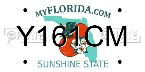 Y161CM Florida License Plate