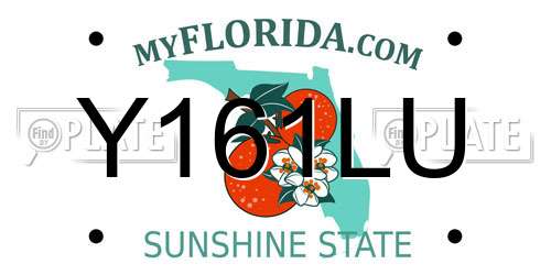 Y161LU Florida License Plate