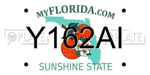 Y162AI Florida License Plate