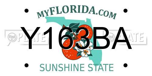 Y163BA Florida License Plate