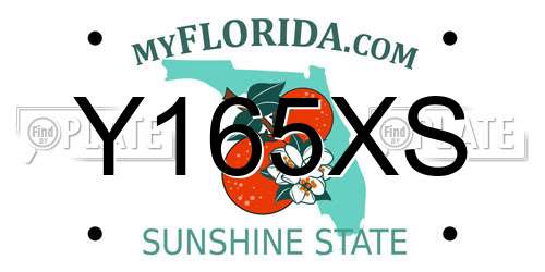 Y165XS Florida License Plate