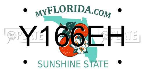 Y166EH Florida License Plate