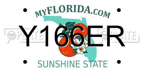 Y166ER Florida License Plate