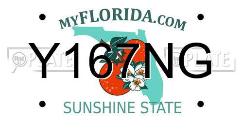 Y167NG Florida License Plate