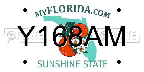 Y168AM Florida License Plate