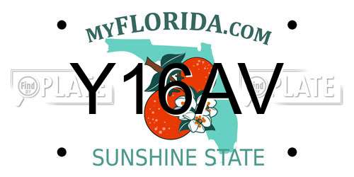 Y16AV Florida License Plate