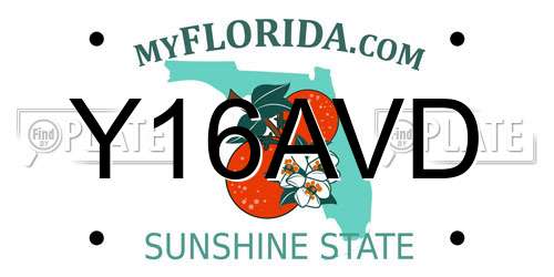 Y16AVD Florida License Plate