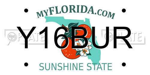 Y16BUR Florida License Plate