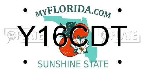 Y16CDT Florida License Plate