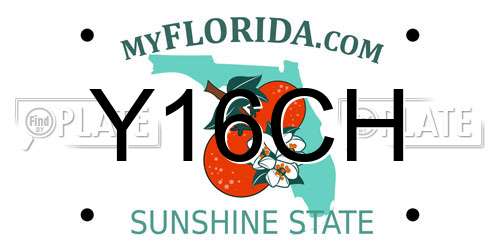 Y16CH Florida License Plate