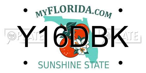 Y16DBK Florida License Plate