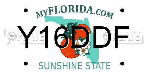 Y16DDF Florida License Plate