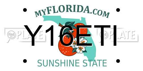 Y16ETI Florida License Plate