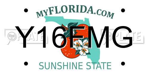 Y16FMG Florida License Plate