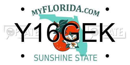 Y16GEK Florida License Plate