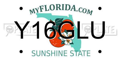Y16GLU Florida License Plate