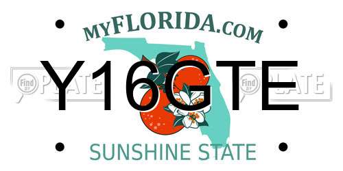 Y16GTE Florida License Plate