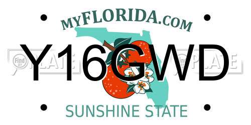 Y16GWD Florida License Plate
