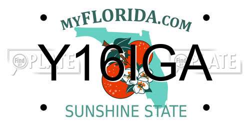 Y16IGA Florida License Plate