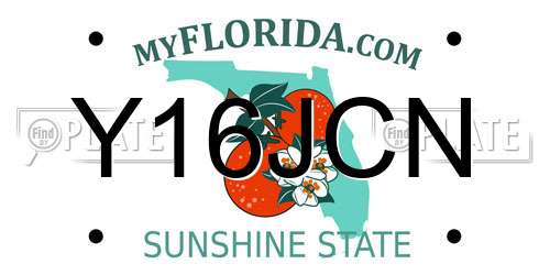 Y16JCN Florida License Plate