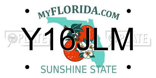 Y16JLM Florida License Plate