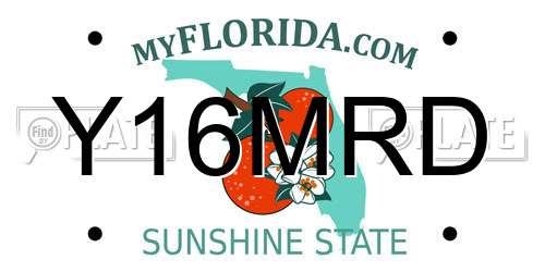Y16MRD Florida License Plate