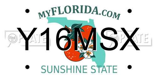 Y16MSX Florida License Plate
