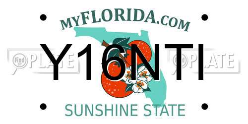 Y16NTI Florida License Plate