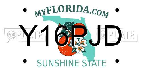 Y16PJD Florida License Plate