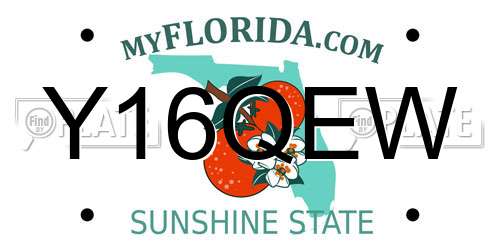 Y16QEW Florida License Plate