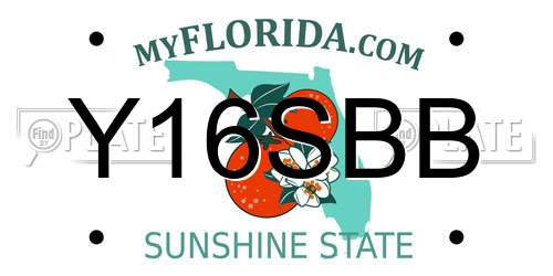 Y16SBB Florida License Plate