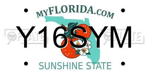 Y16SYM Florida License Plate