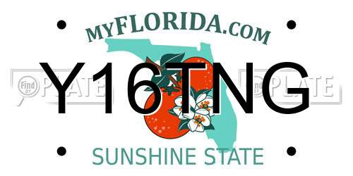 Y16TNG Florida License Plate